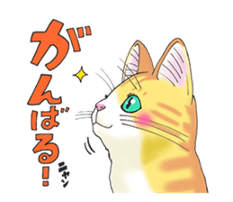 POKOPOKO-Cats sticker #6063798