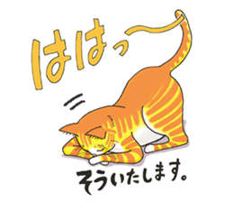 POKOPOKO-Cats sticker #6063799