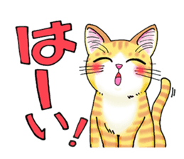 POKOPOKO-Cats sticker #6063802