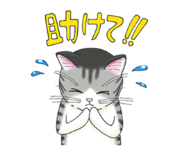 POKOPOKO-Cats sticker #6063809