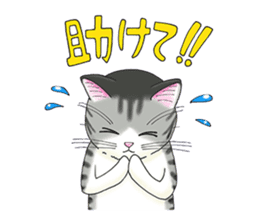 POKOPOKO-Cats sticker #6063809