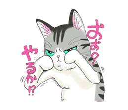 POKOPOKO-Cats sticker #6063812