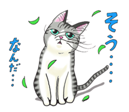 POKOPOKO-Cats sticker #6063814