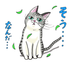POKOPOKO-Cats sticker #6063814