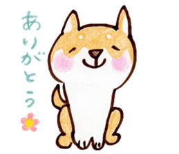 Shiba Kenta sticker #6066820