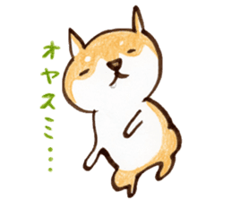 Shiba Kenta sticker #6066822