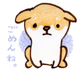 Shiba Kenta sticker #6066823
