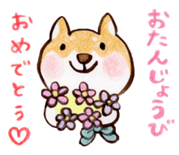 Shiba Kenta sticker #6066829