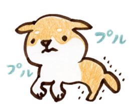 Shiba Kenta sticker #6066843