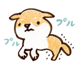 Shiba Kenta sticker #6066843