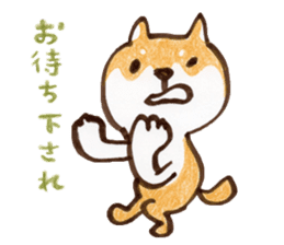 Shiba Kenta sticker #6066845
