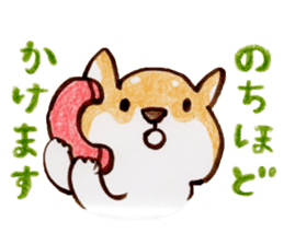 Shiba Kenta sticker #6066853