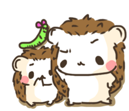 Hedgehog 'Hari-san' in summer sticker #6066897