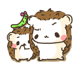 Hedgehog 'Hari-san' in summer sticker #6066897