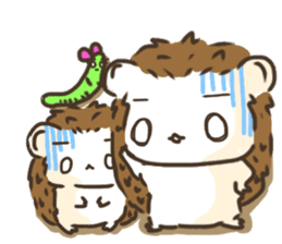 Hedgehog 'Hari-san' in summer sticker #6066898