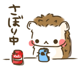 Hedgehog 'Hari-san' in summer sticker #6066905