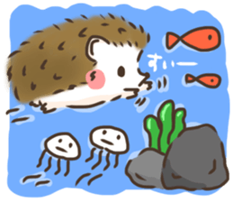 Hedgehog 'Hari-san' in summer sticker #6066933