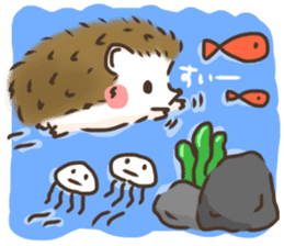 Hedgehog 'Hari-san' in summer sticker #6066933