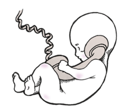 Q-TA Collage Sticker sticker #6067147