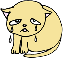 Ycat 2 sticker #6068638