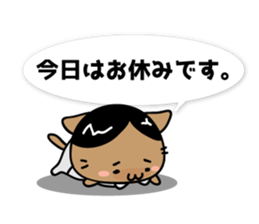 Business cat - busy-nyan sticker #6075540