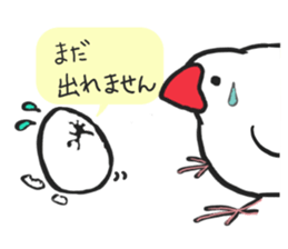 Everyday javasparrow and Parakeet 2 sticker #6077794