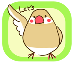 Everyday javasparrow and Parakeet 2 sticker #6077797
