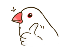 Everyday javasparrow and Parakeet 2 sticker #6077798