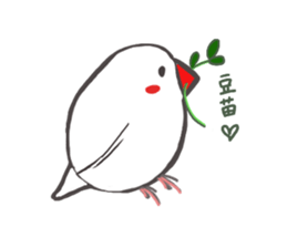 Everyday javasparrow and Parakeet 2 sticker #6077802