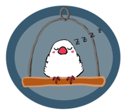 Everyday javasparrow and Parakeet 2 sticker #6077806