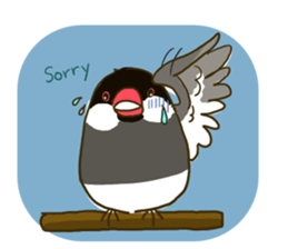 Everyday javasparrow and Parakeet 2 sticker #6077811