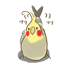 Everyday javasparrow and Parakeet 2 sticker #6077817