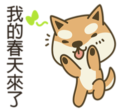 Shiba Inu(Shiba-Dog) Little Butt 3 sticker #6078453
