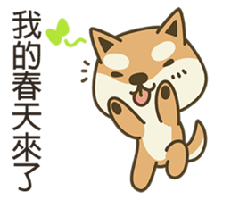 Shiba Inu(Shiba-Dog) Little Butt 3 sticker #6078453