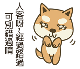 Shiba Inu(Shiba-Dog) Little Butt 3 sticker #6078462