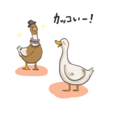 Funny Ducks 2nd sticker #6079034