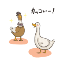 Funny Ducks 2nd sticker #6079034