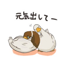 Funny Ducks 2nd sticker #6079037