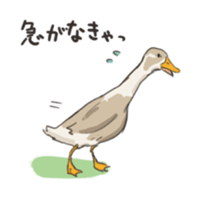 Funny Ducks 2nd sticker #6079040