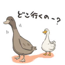 Funny Ducks 2nd sticker #6079041
