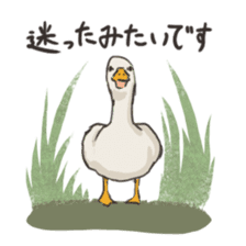 Funny Ducks 2nd sticker #6079044