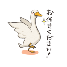 Funny Ducks 2nd sticker #6079048