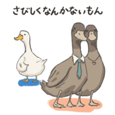 Funny Ducks 2nd sticker #6079049