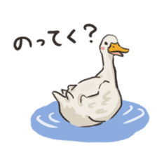 Funny Ducks 2nd sticker #6079057