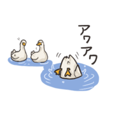 Funny Ducks 2nd sticker #6079058