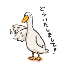 Funny Ducks 2nd sticker #6079066