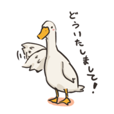 Funny Ducks 2nd sticker #6079066