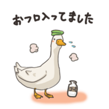 Funny Ducks 2nd sticker #6079067