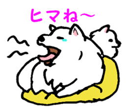 Schnee & Neige sticker #6079277