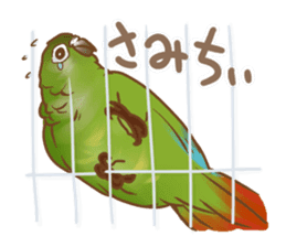 Mr.sekisei&Mr.uroko sticker #6081238